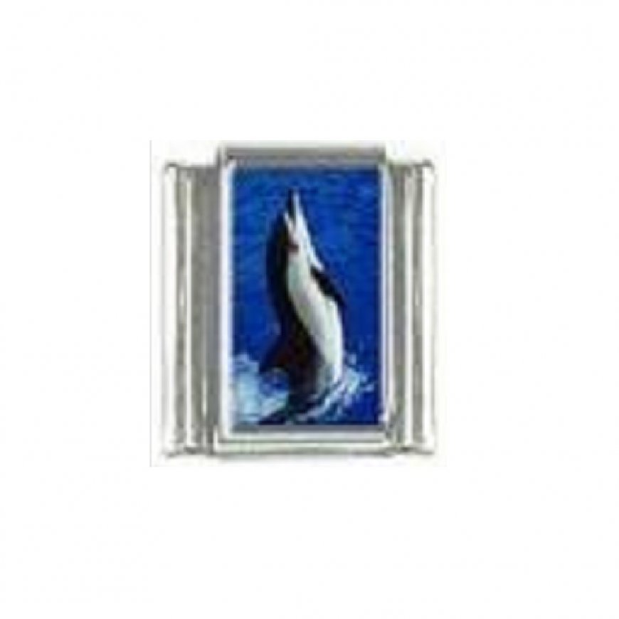Dolphin (y) photo 9mm Italian charm - Click Image to Close