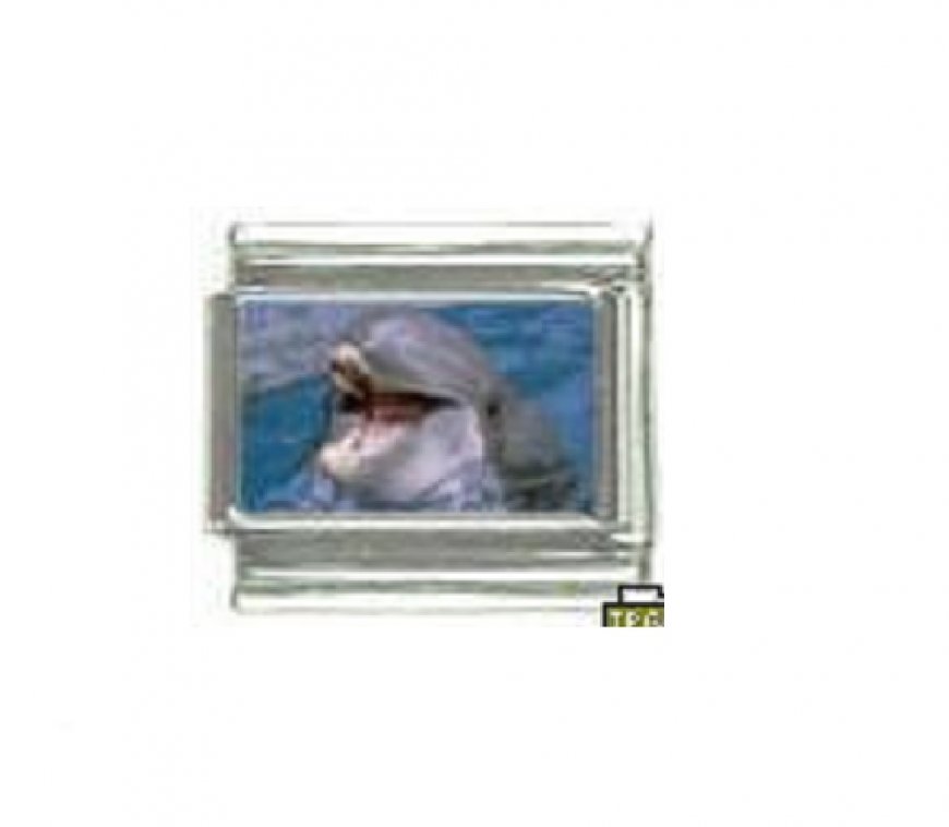 Dolphin smiling - photo 9mm Italian charm - Click Image to Close