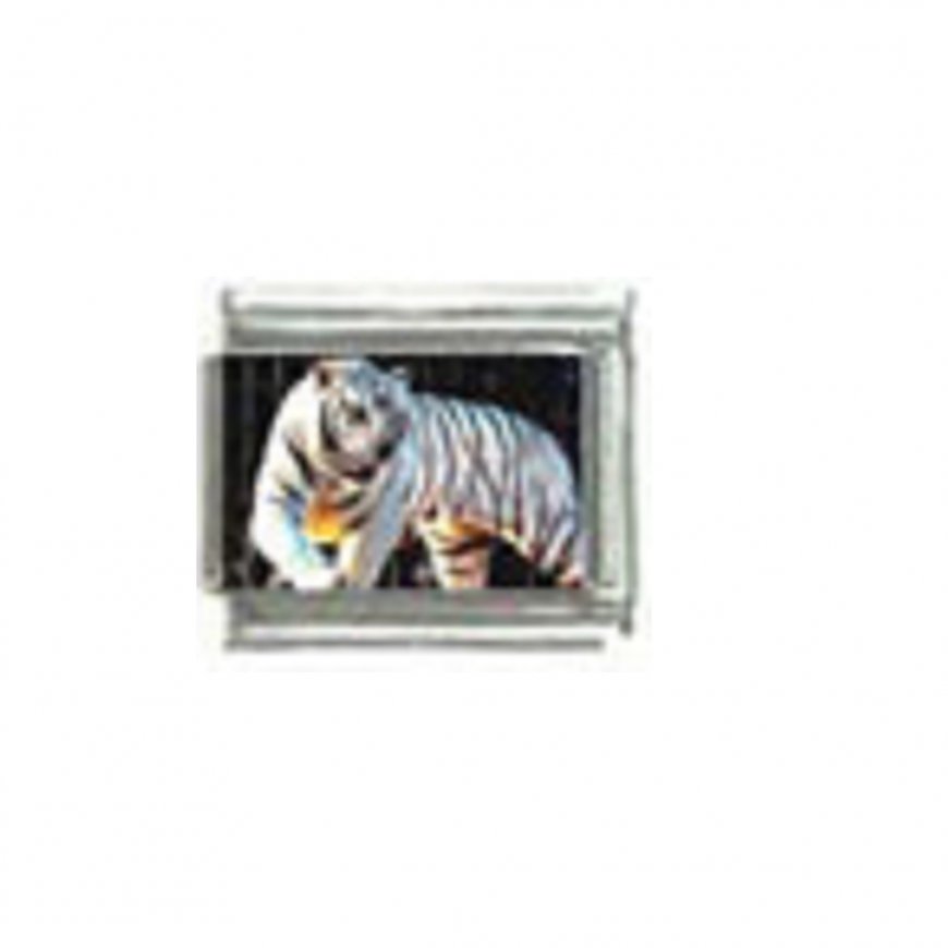 White tiger (h) photo - 9mm Italian charm - Click Image to Close