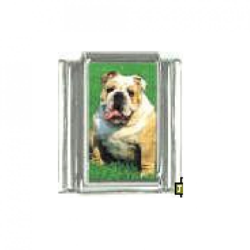 Dog charm - British Bulldog 5 - 9mm Italian charm - Click Image to Close