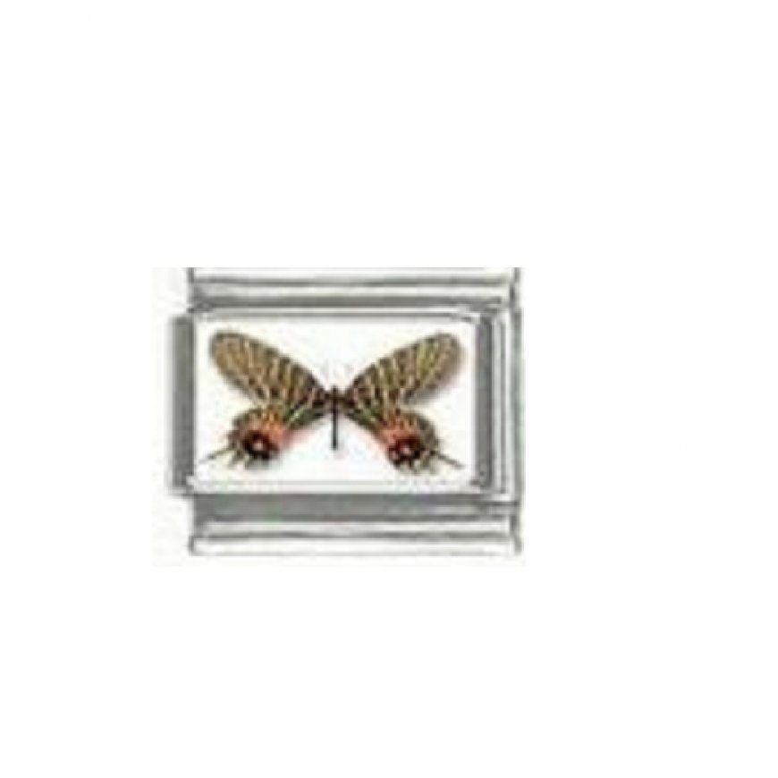 Butterfly photo a12 - 9mm Italian charm - Click Image to Close