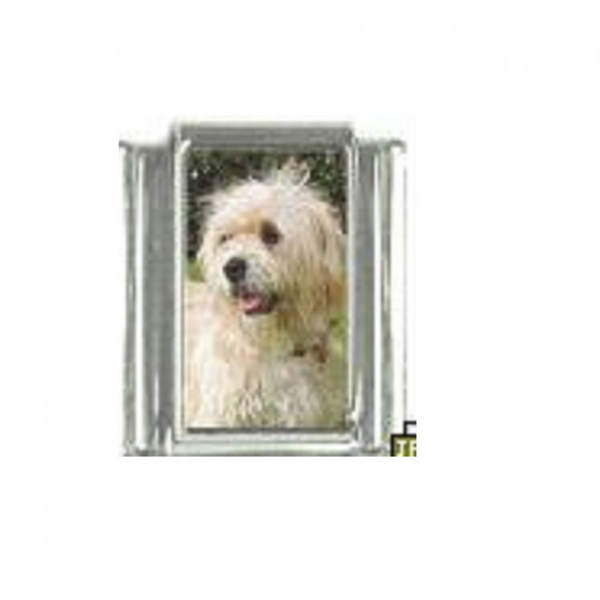 Dog charm - Wheaton Terrier 3 - 9mm Italian Charm - Click Image to Close