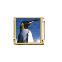 Penguin (am) - enamel 9mm Italian charm