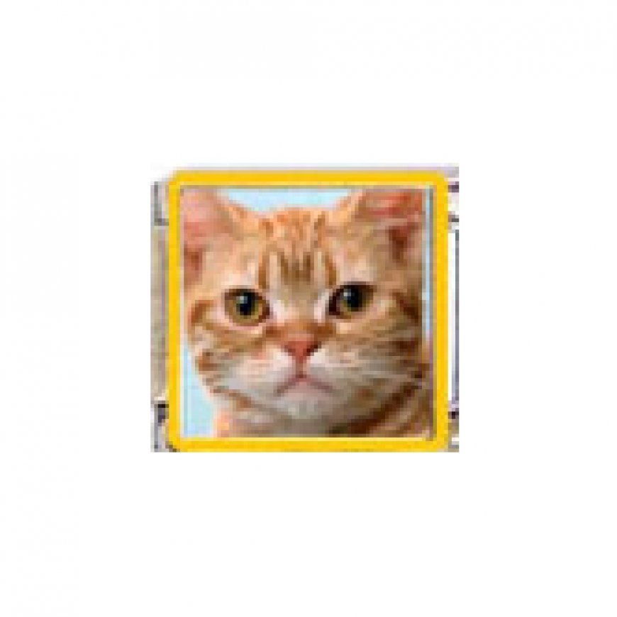 Cat - Ginger tabby cat (d) enamel 9mm Italian charm - Click Image to Close