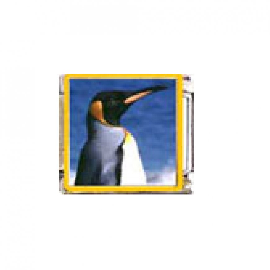 Penguin (am) - enamel 9mm Italian charm - Click Image to Close