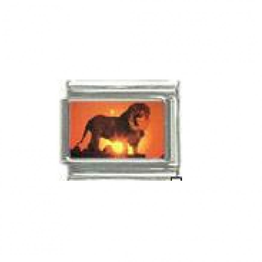 Lion in sunset - photo 9mm Italian charm - Click Image to Close