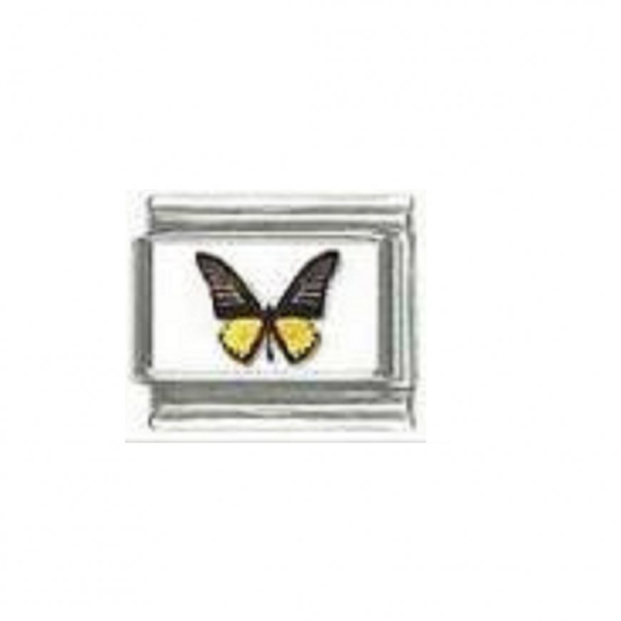 Butterfly photo a119 - 9mm Italian charm - Click Image to Close