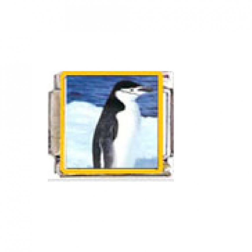 Penguin (u) - enamel 9mm Italian charm - Click Image to Close