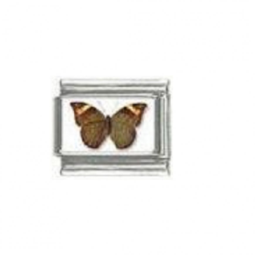 Butterfly photo a14 - 9mm Italian charm - Click Image to Close
