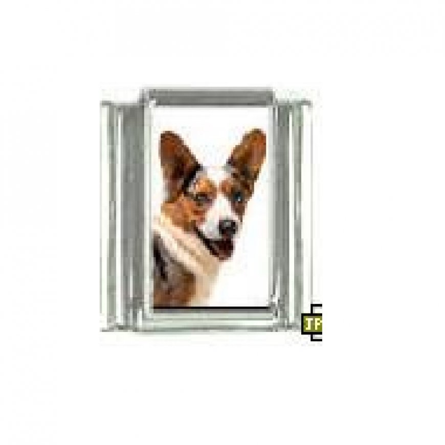 Dog charm - Corgi 4 - 9mm Italian charm - Click Image to Close