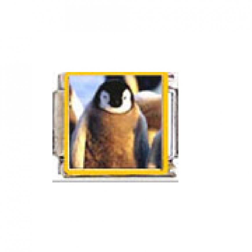 Penguin (r) - enamel 9mm Italian charm - Click Image to Close