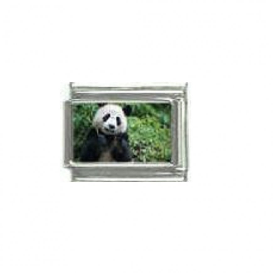 Panda (b) - photo 9mm Italian charm - Click Image to Close