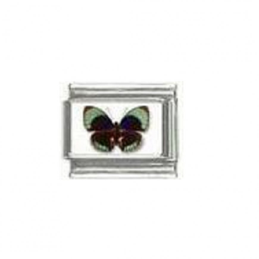 Butterfly photo a21 - 9mm Italian charm - Click Image to Close