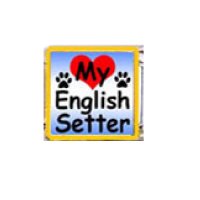 Love my English Setter - dog - enamel 9mm Italian charm
