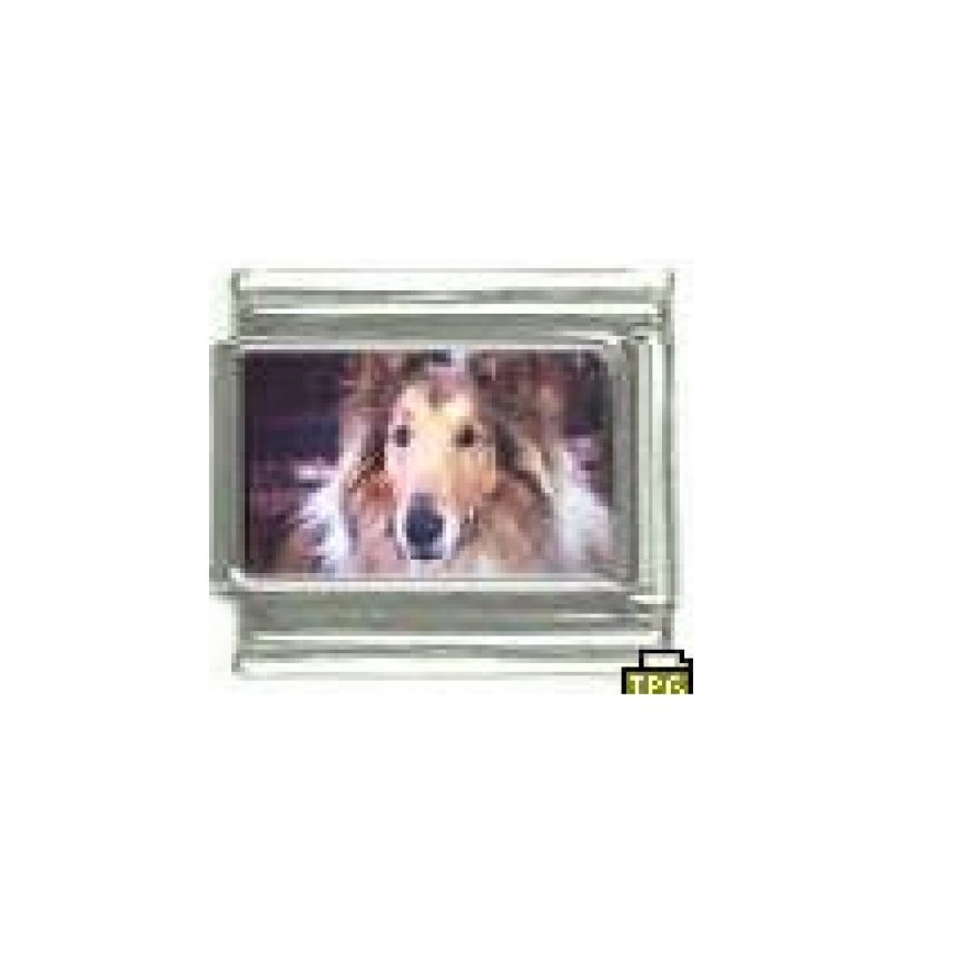 Dog charm - Collie 3 - 9mm Italian charm - Click Image to Close