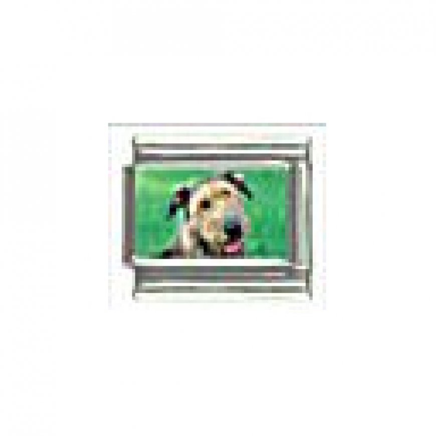 Dog charm - Irish Wolfhound 2 - 9mm Italian charm - Click Image to Close