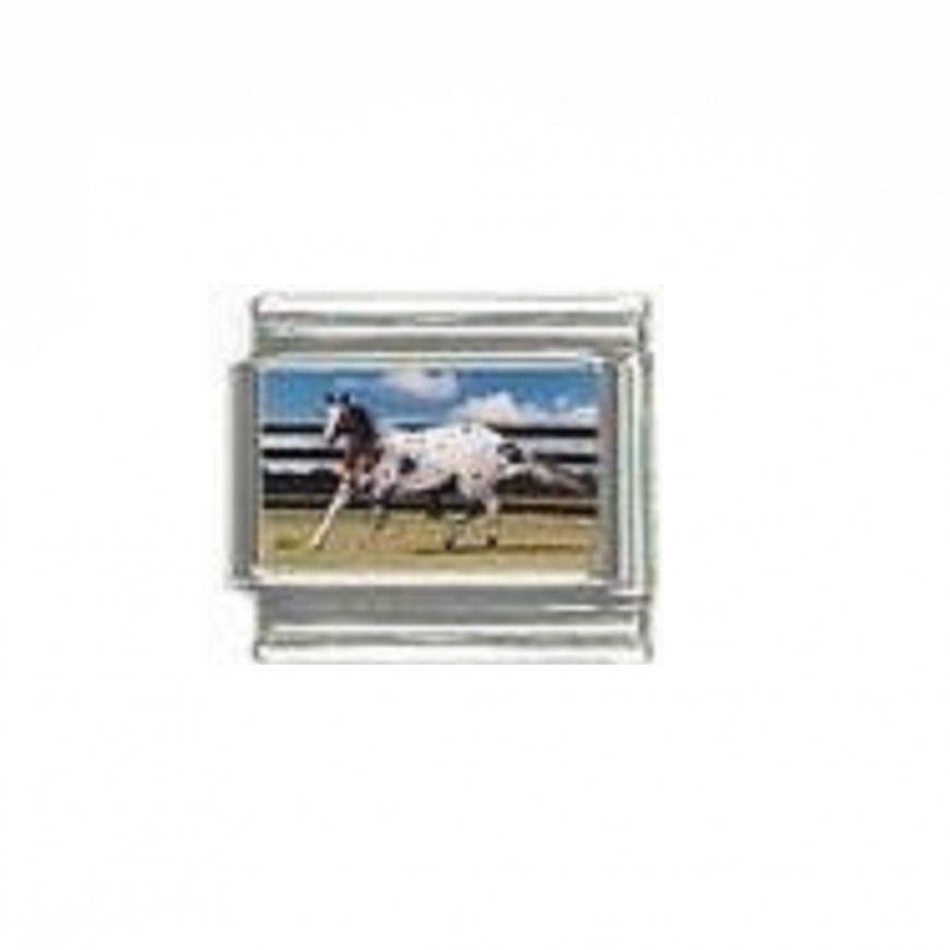 Horse (a) - photo 9mm Italian charm - Click Image to Close