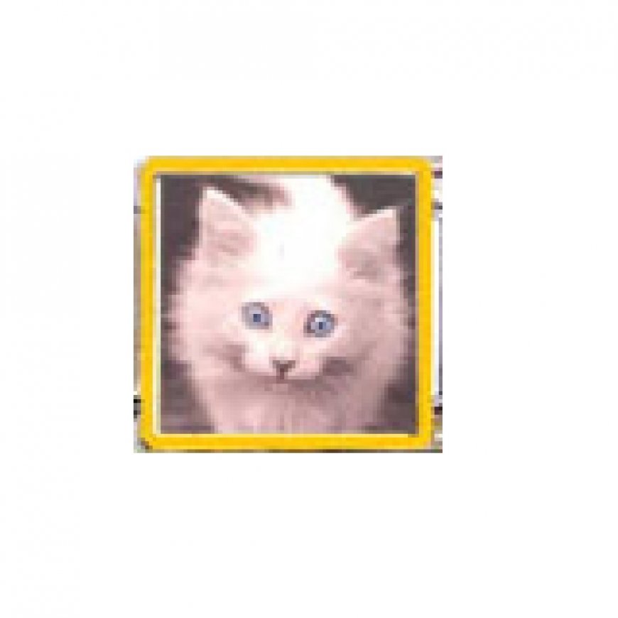 Cat - White fluffy cat (a) - 9mm enamel Italian charm - Click Image to Close