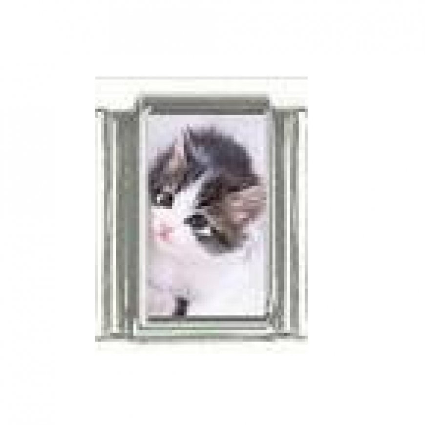 Cat - Kitten black and white 9mm photo Italian charm - Click Image to Close