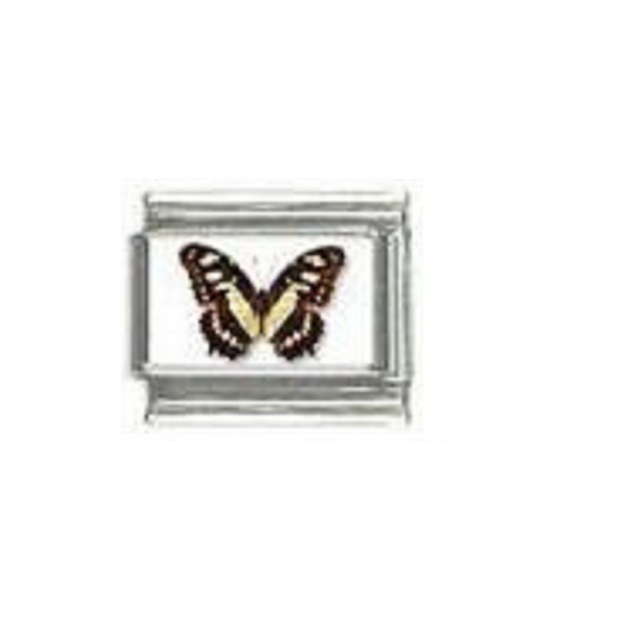 Butterfly photo a111 - 9mm Italian charm - Click Image to Close