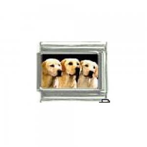 Dog charm - Labrador 4 golden - 9mm Italian charm