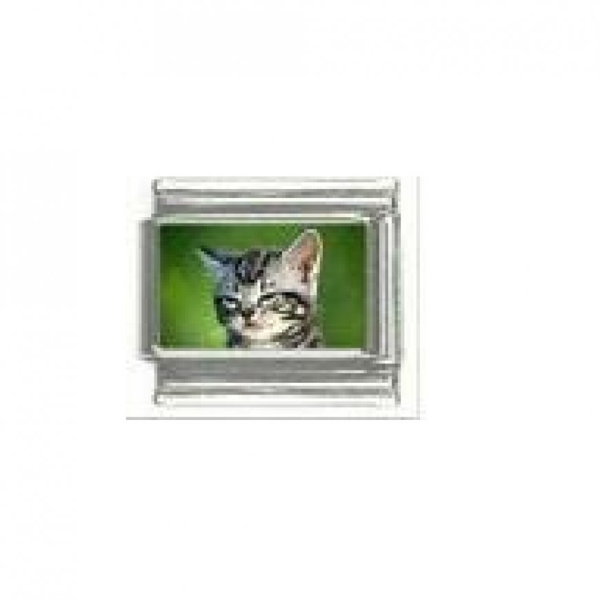 Cat - tabby cat (f) photo 9mm Italian charm - Click Image to Close