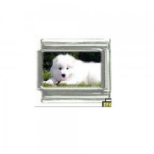 Dog charm - Samoyed 3 - 9mm Italian charm