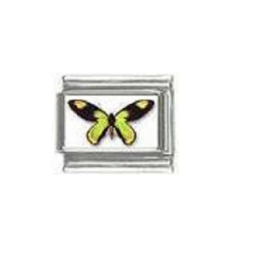 Butterfly photo a20 - 9mm Italian charm - Click Image to Close