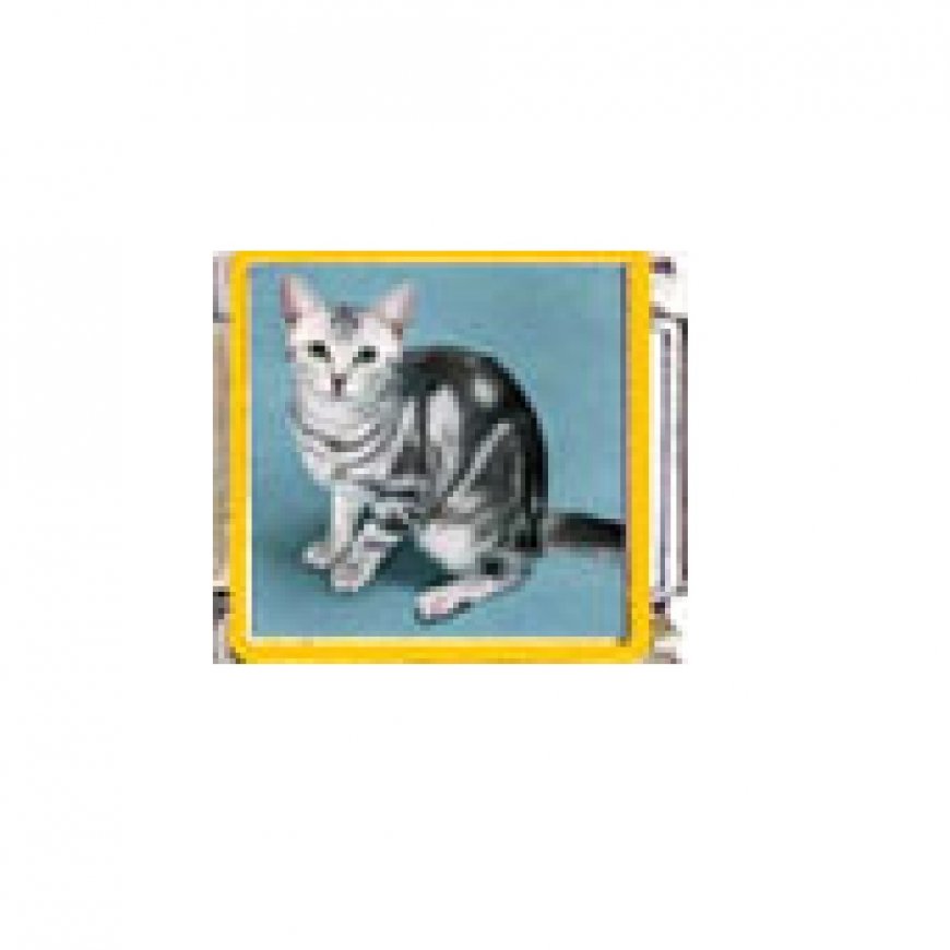 Cat - grey tabby cat (a) enamel 9mm Italian charm - Click Image to Close