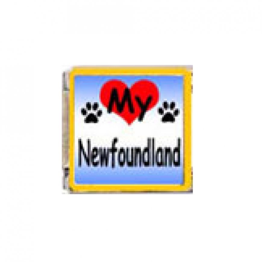 Love my Newfoundland - dog - enamel 9mm Italian charm - Click Image to Close