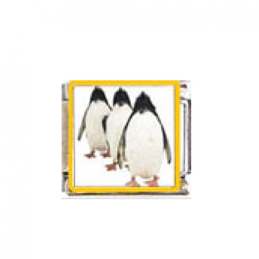 Penguin (af) - enamel 9mm Italian charm - Click Image to Close