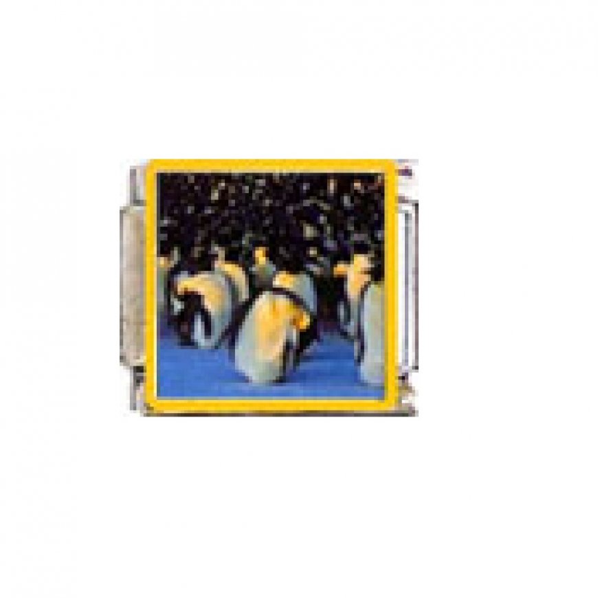 Penguin (at) - enamel 9mm Italian charm - Click Image to Close