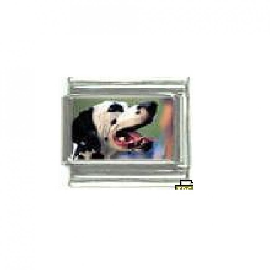 Dog charm - Dalmation 4 - 9mm Italian charm - Click Image to Close