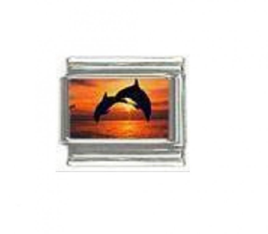 Dolphin (g) photo 9mm Italian charm - Click Image to Close
