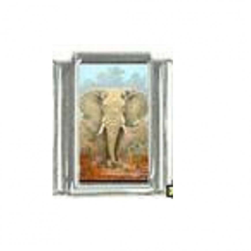 Elephant photo charm (b) 9mm Italian charm - Click Image to Close