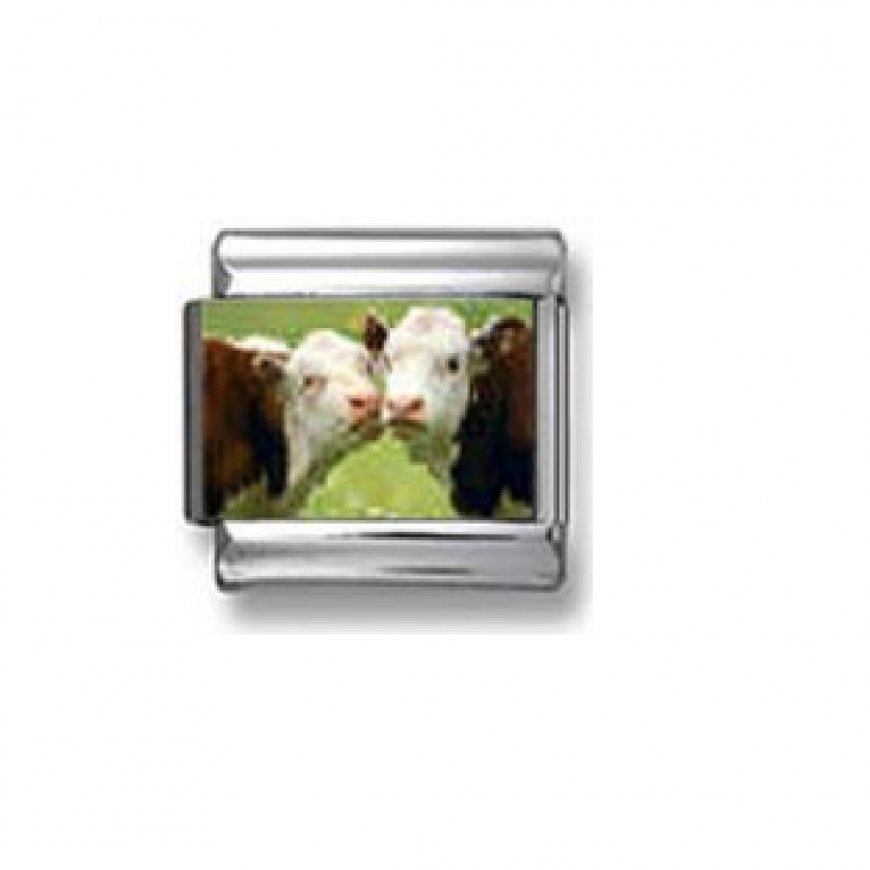 Cows kissing - photo 9mm Italian charm - Click Image to Close