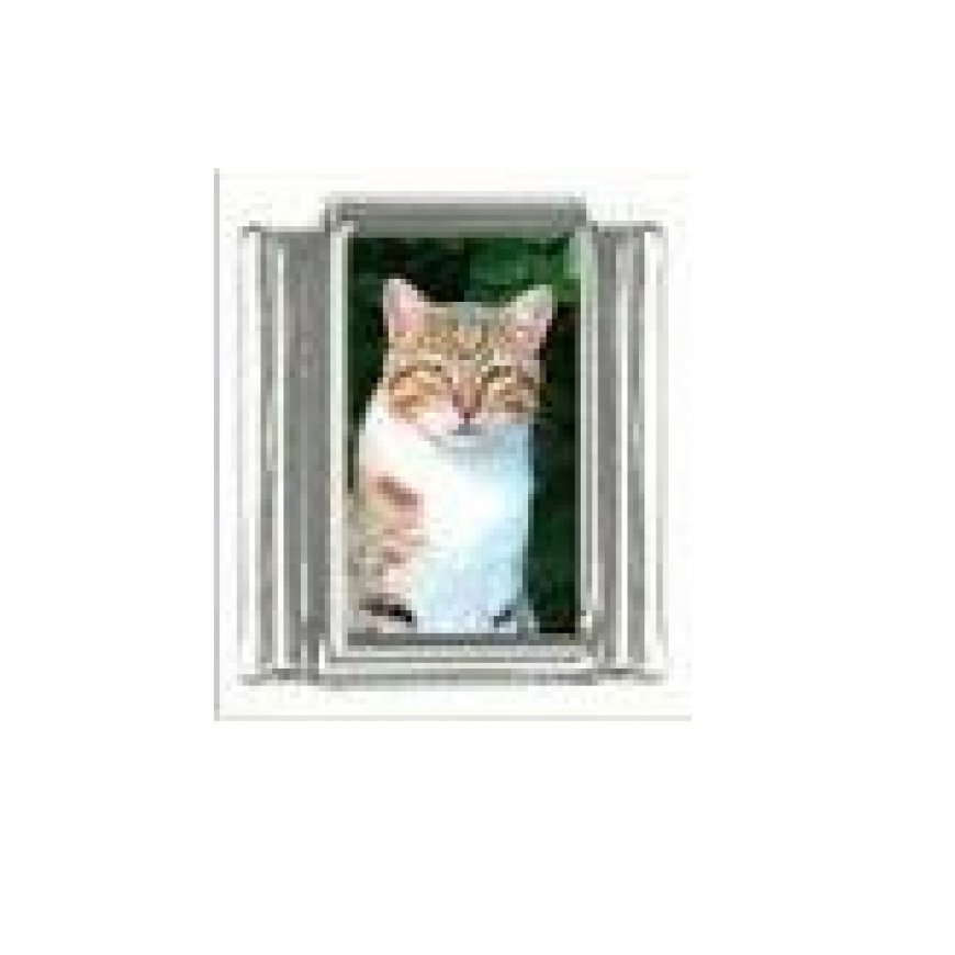 Cat - Ginger tabby cat (f) enamel 9mm Italian charm - Click Image to Close