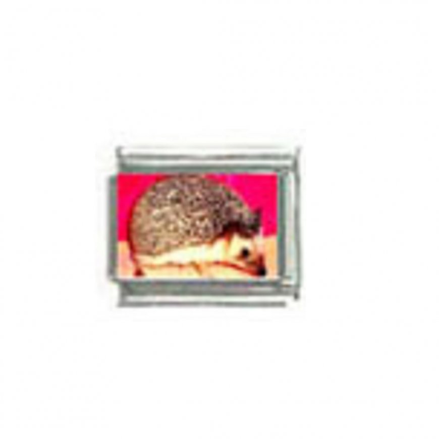 Hedgehog (o) photo - 9mm Italian charm - Click Image to Close
