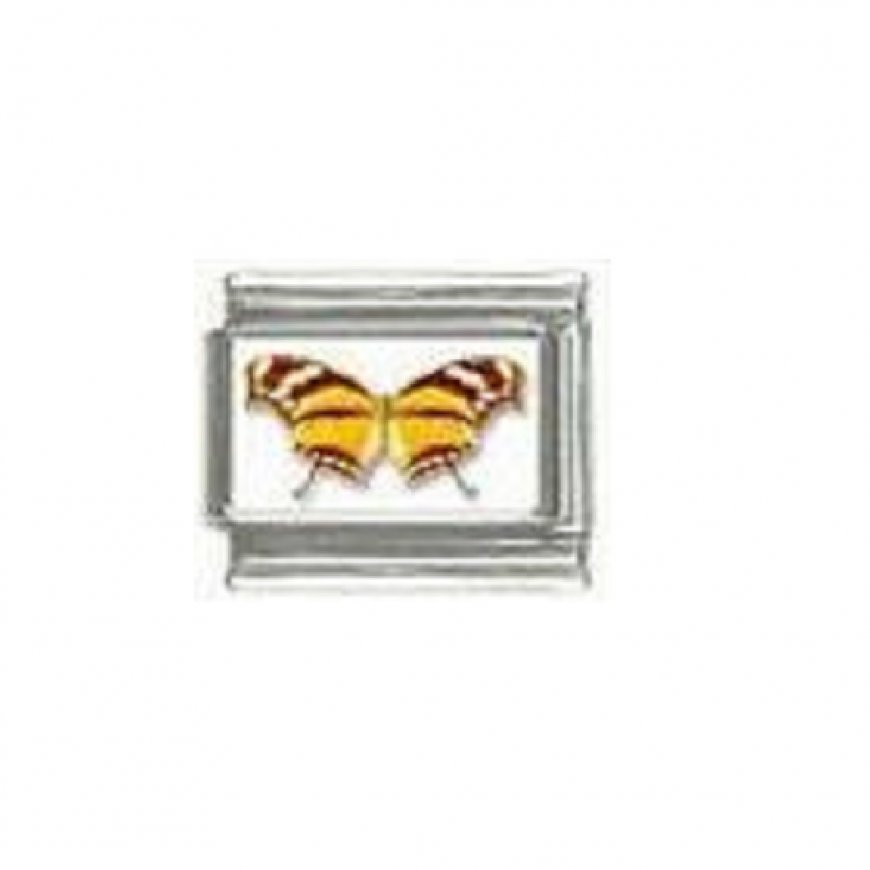 Butterfly photo a5 - 9mm Italian charm - Click Image to Close