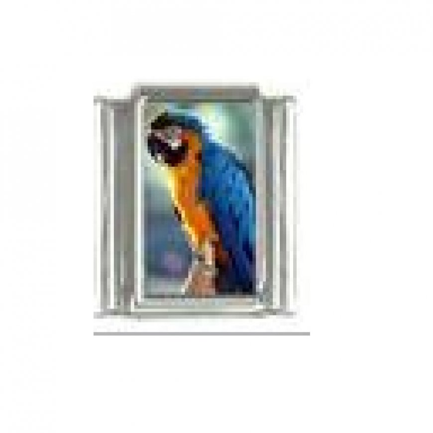 Blue and Yellow Macaw Parrot - photo 9mm Italian charm - Click Image to Close