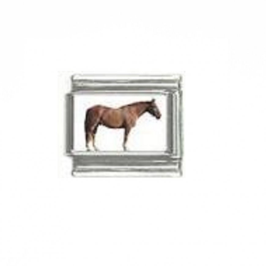 Horse (q) - photo 9mm Italian charm - Click Image to Close