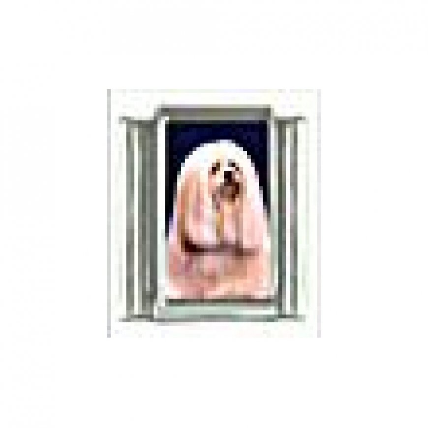 Dog charm - Lhasa Apso 5 - 9mm Italian charm - Click Image to Close
