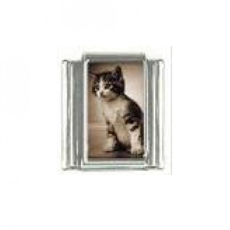 Cat - Tabby and white kitten 9mm photo Italian charm - Click Image to Close
