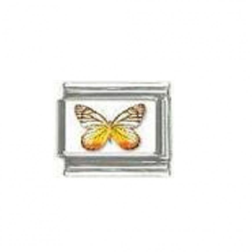 Butterfly photo a41 - 9mm Italian charm - Click Image to Close