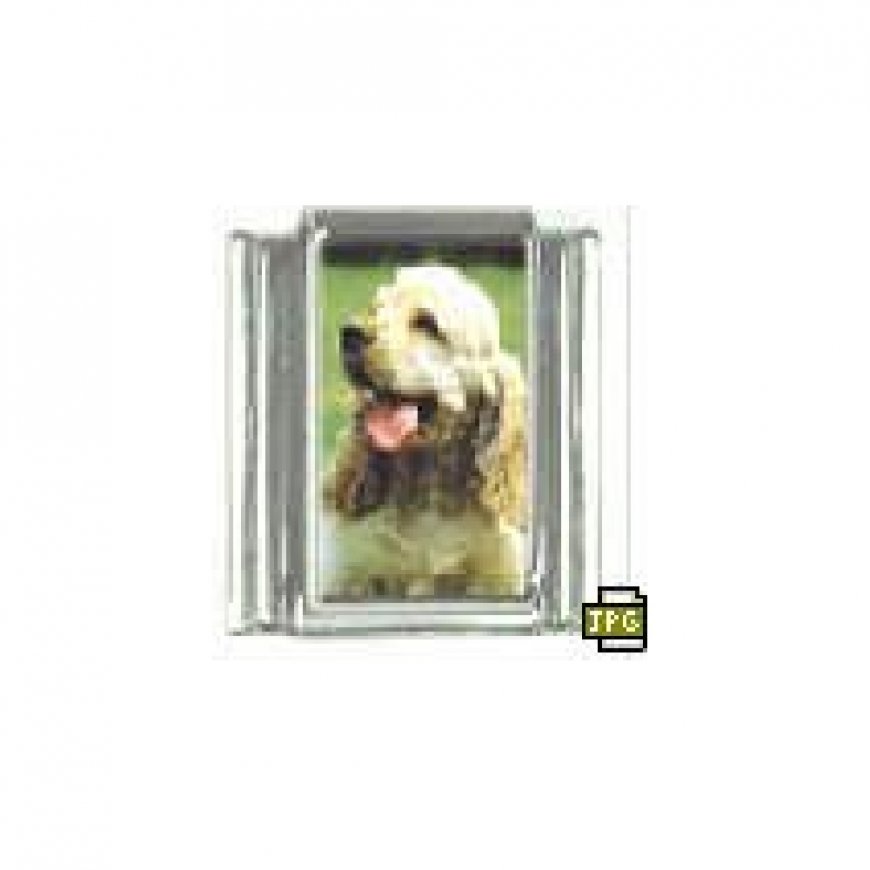 Dog charm - Cocker spaniel 5 - 9mm Italian charm - Click Image to Close