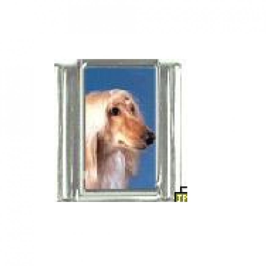 Dog charm - Afghan Hound 3 - 9mm Italian charm - Click Image to Close