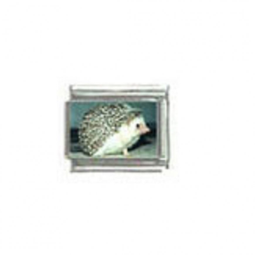 Hedgehog (j) photo - 9mm Italian charm - Click Image to Close