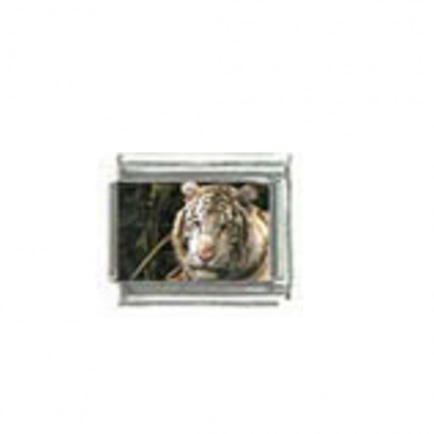 White tiger (a) photo - 9mm Italian charm - Click Image to Close