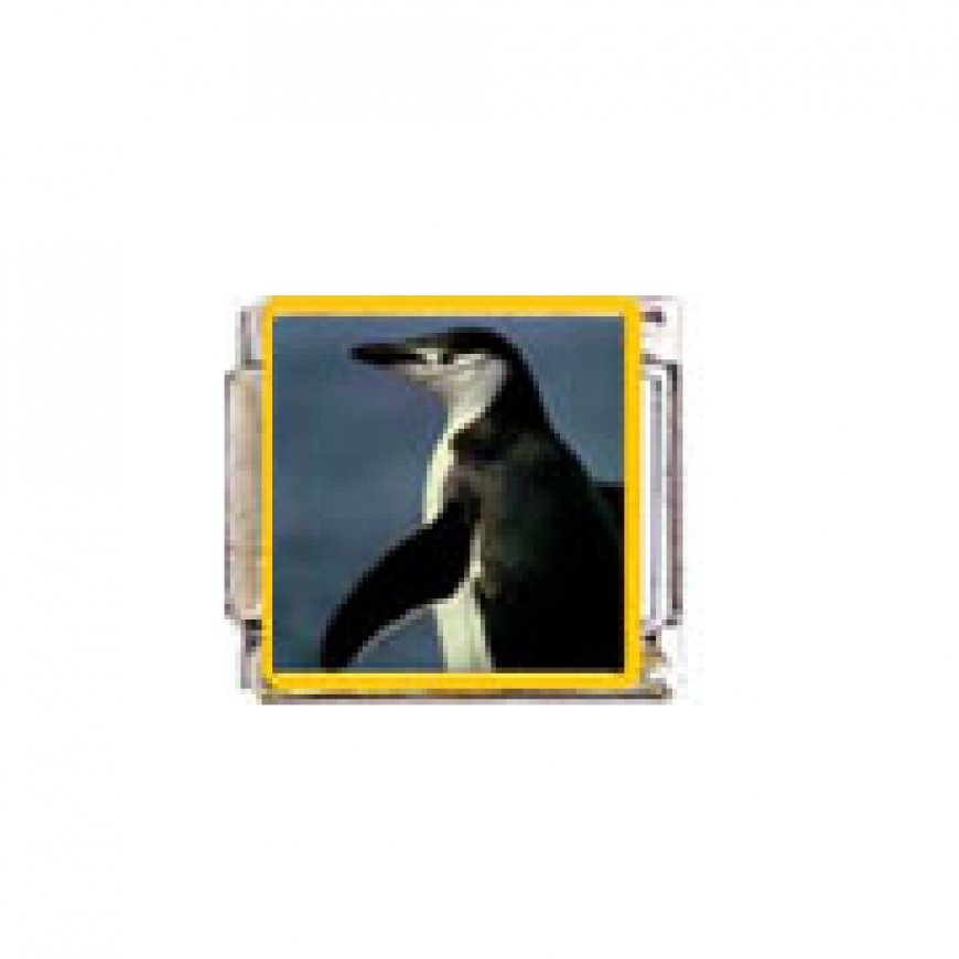Penguin (e) - enamel 9mm Italian charm - Click Image to Close