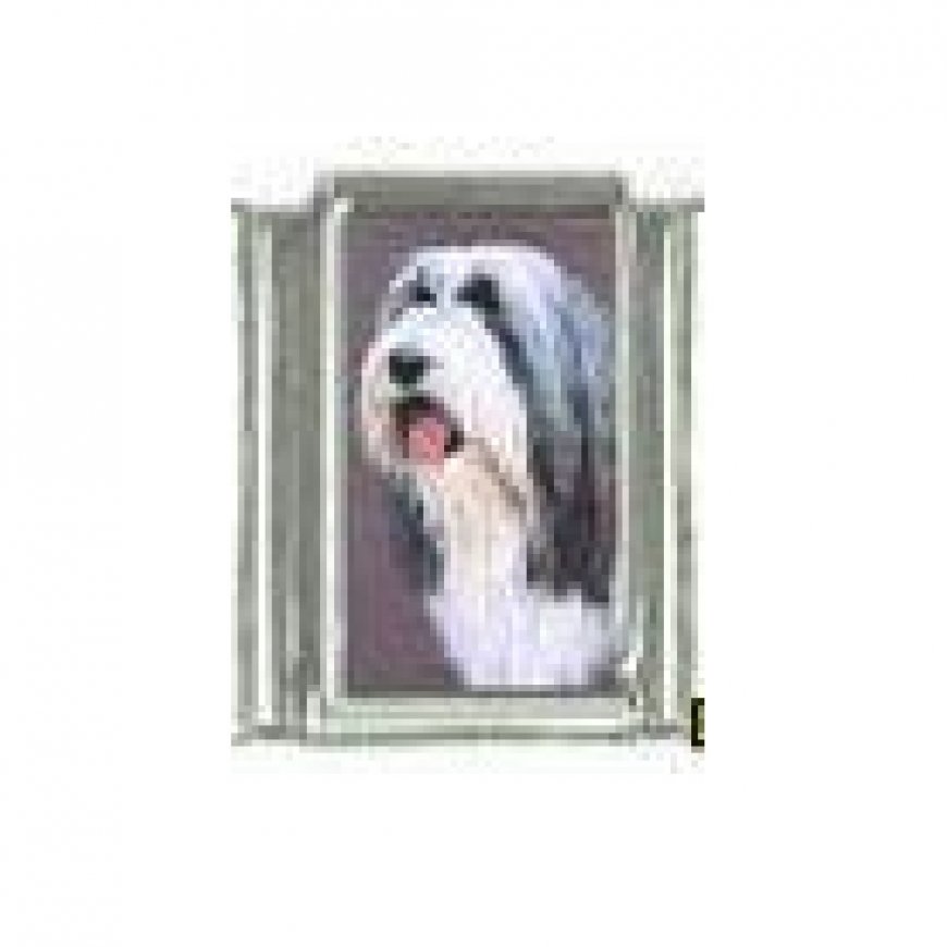 Dog charm - Bearded Collie 3 - 9mm Italian charm - Click Image to Close